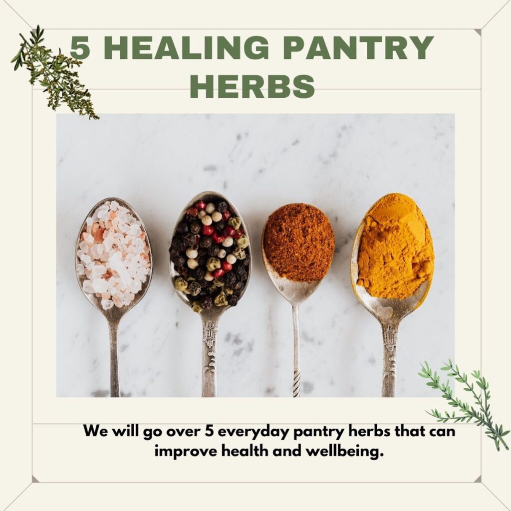 5 Pantry Herbs for Health and Wellbeing