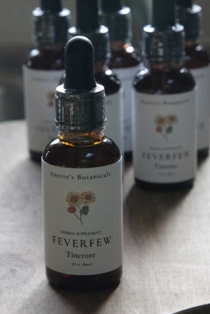 Feverfew