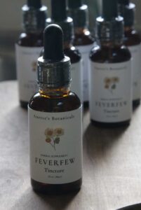 Feverfew-201×300